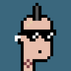 dpunks: 1566