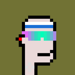 dpunks: 1078