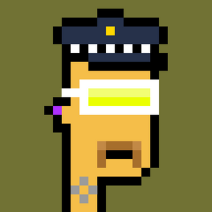dpunks: 9055