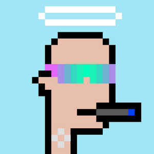 dpunks: 2737