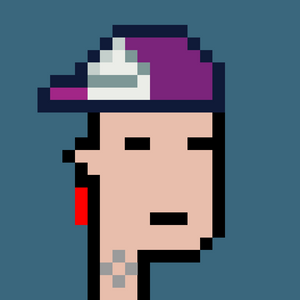 dpunks: 8136