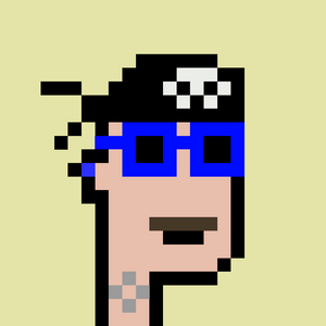 dpunks: 1529
