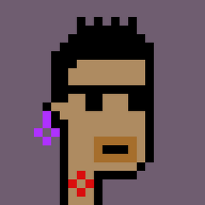 dpunks: 7355