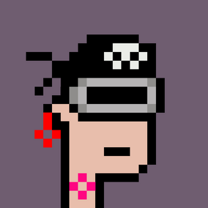 dpunks: 2244