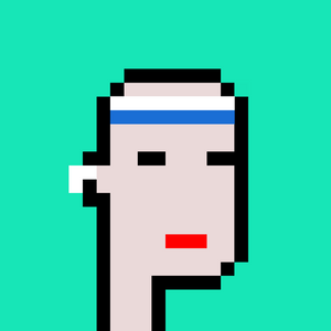 dpunks: 8305