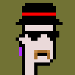 dpunks: 1316