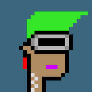 dpunks: 8911