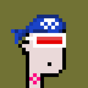 dpunks: 8018