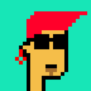 dpunks: 311
