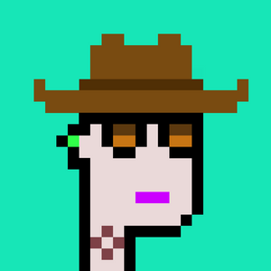 dpunks: 8506