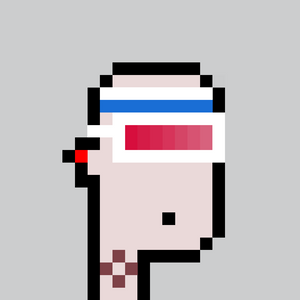 dpunks: 8301