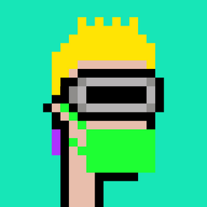 dpunks: 1355