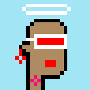dpunks: 6355