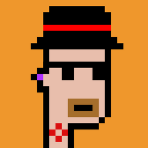 dpunks: 5537