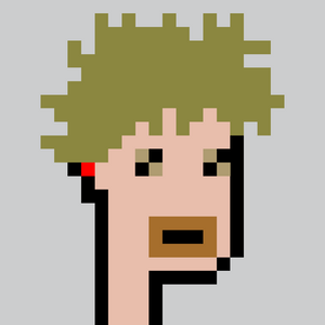 dpunks: 2691