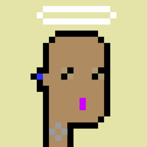 dpunks: 9132