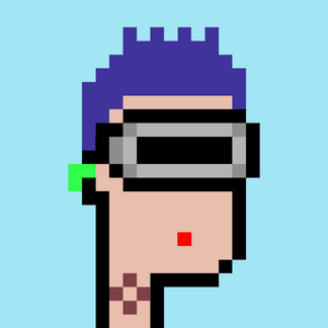 dpunks: 5553
