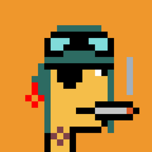 dpunks: 9895