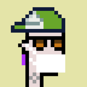 dpunks: 1702