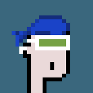 dpunks: 1312