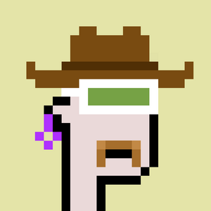 dpunks: 385