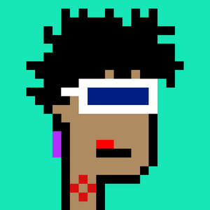 dpunks: 8951
