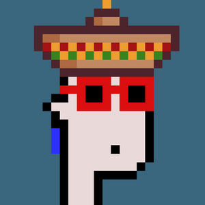 dpunks: 6555