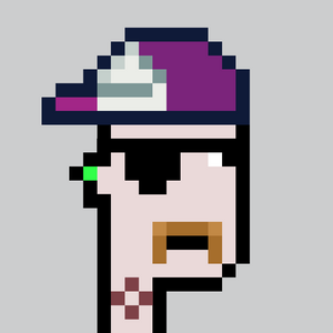 dpunks: 1303
