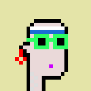 dpunks: 260
