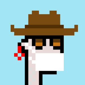 dpunks: 8652