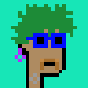 dpunks: 1311